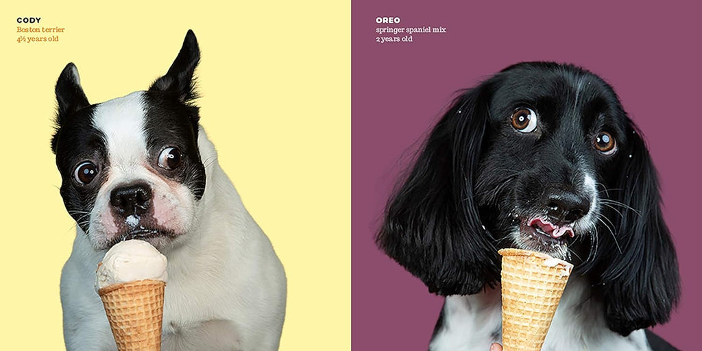Dogs vs ice cream