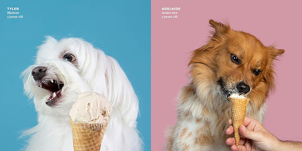 Dogs vs ice cream