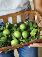 Heal Your Gut: Supercharged Food
