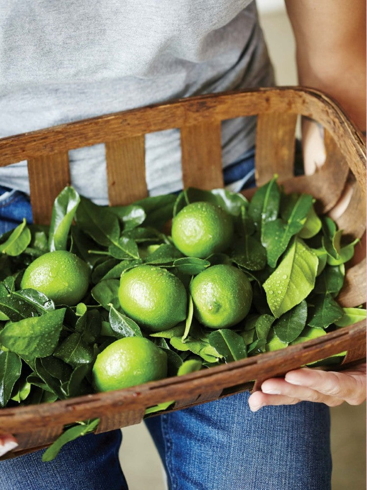 Heal Your Gut: Supercharged Food