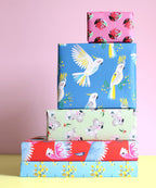 Wrap Pack: Patterns Celebrating Australia's Flora & Fauna