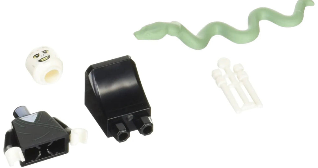 LEGO VOLDEMORT! HARRY POTTER WITCHES WIZARDS CREATURES & MORE CHARACTER HANDBOOK