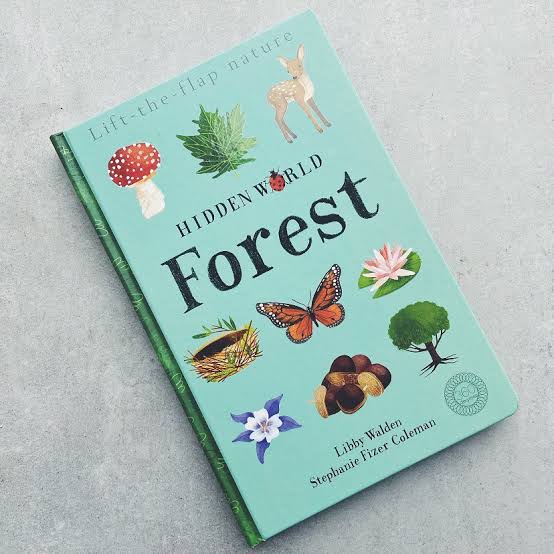 Hidden World: Forest