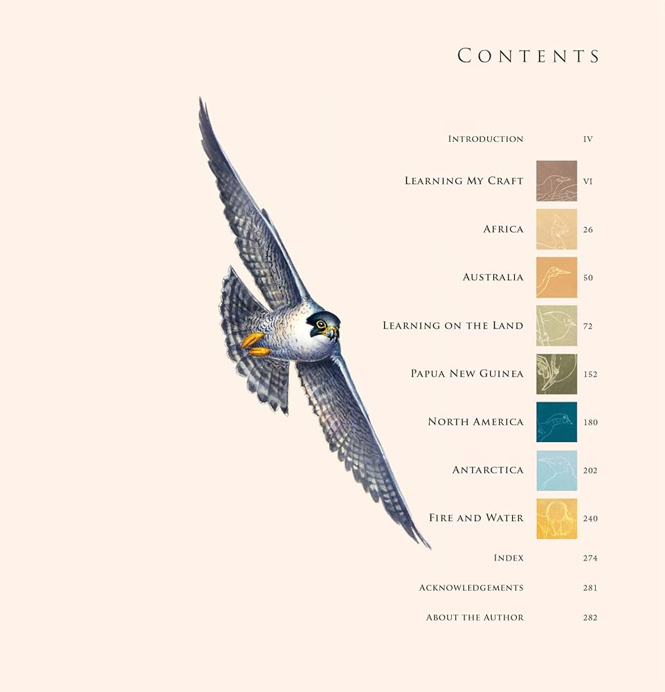 A Brush with Birds: Paintings and Stories from the Wild