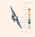 A Brush with Birds: Paintings and Stories from the Wild