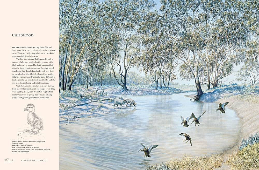 A Brush with Birds: Paintings and Stories from the Wild