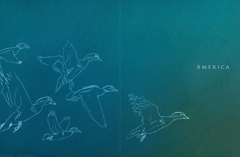 A Brush with Birds: Paintings and Stories from the Wild