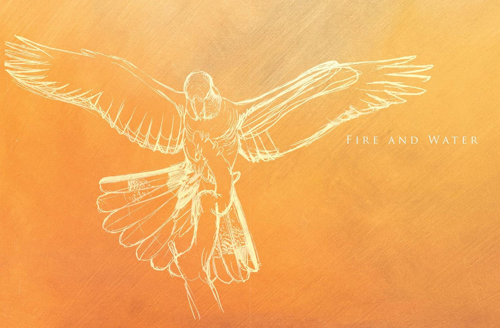 A Brush with Birds: Paintings and Stories from the Wild