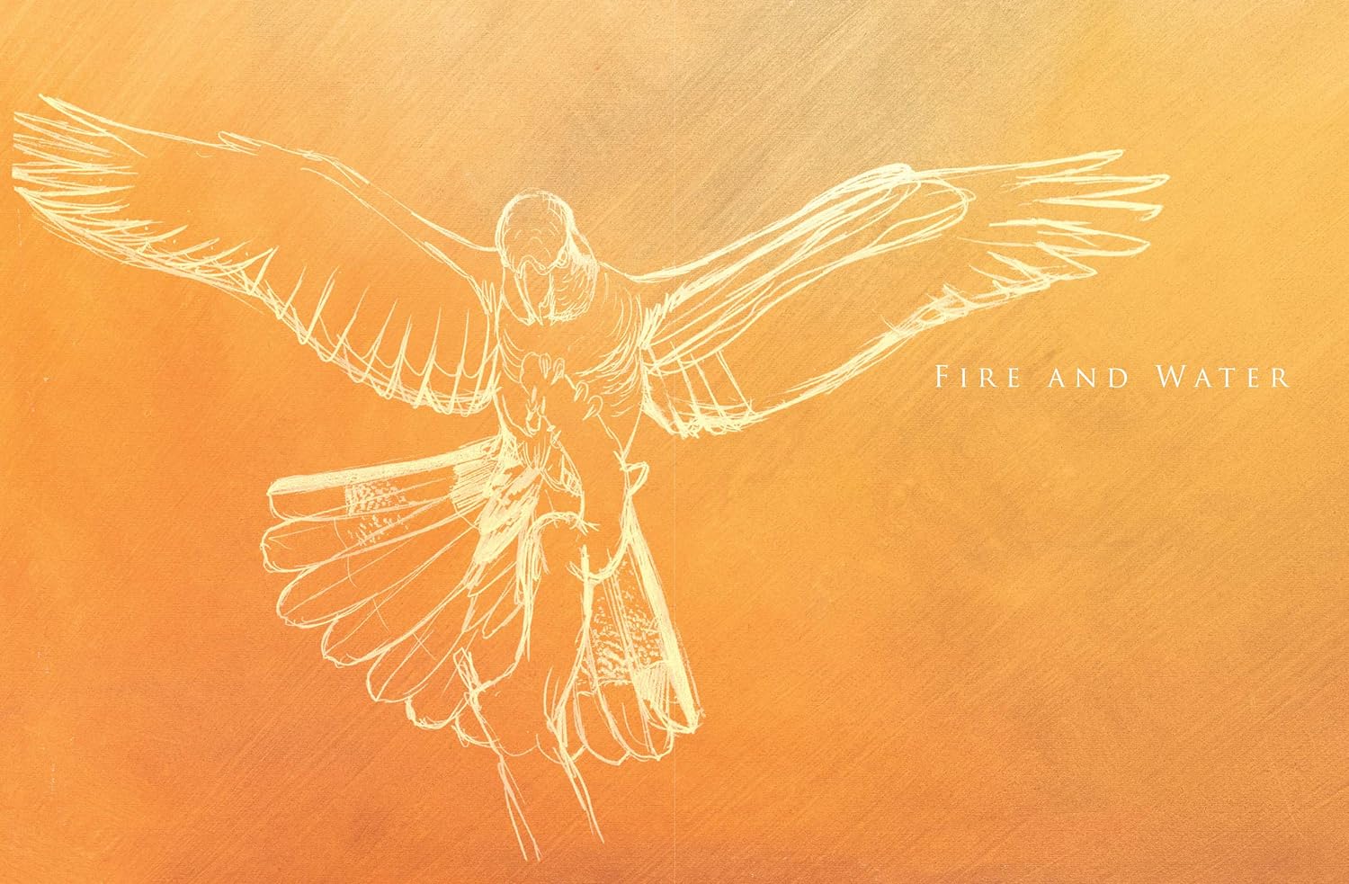 A Brush with Birds: Paintings and Stories from the Wild