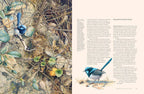 A Brush with Birds: Paintings and Stories from the Wild