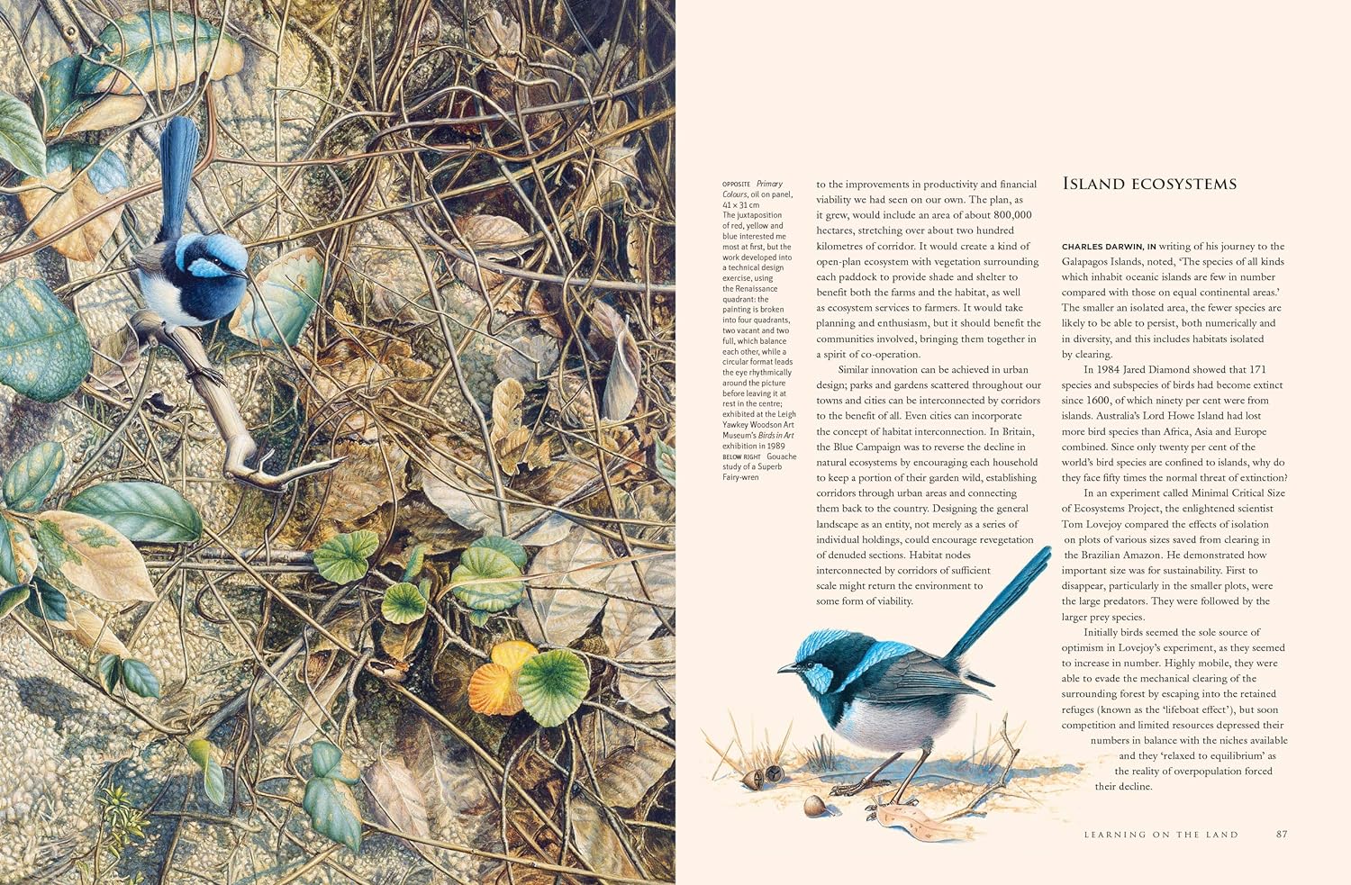 A Brush with Birds: Paintings and Stories from the Wild