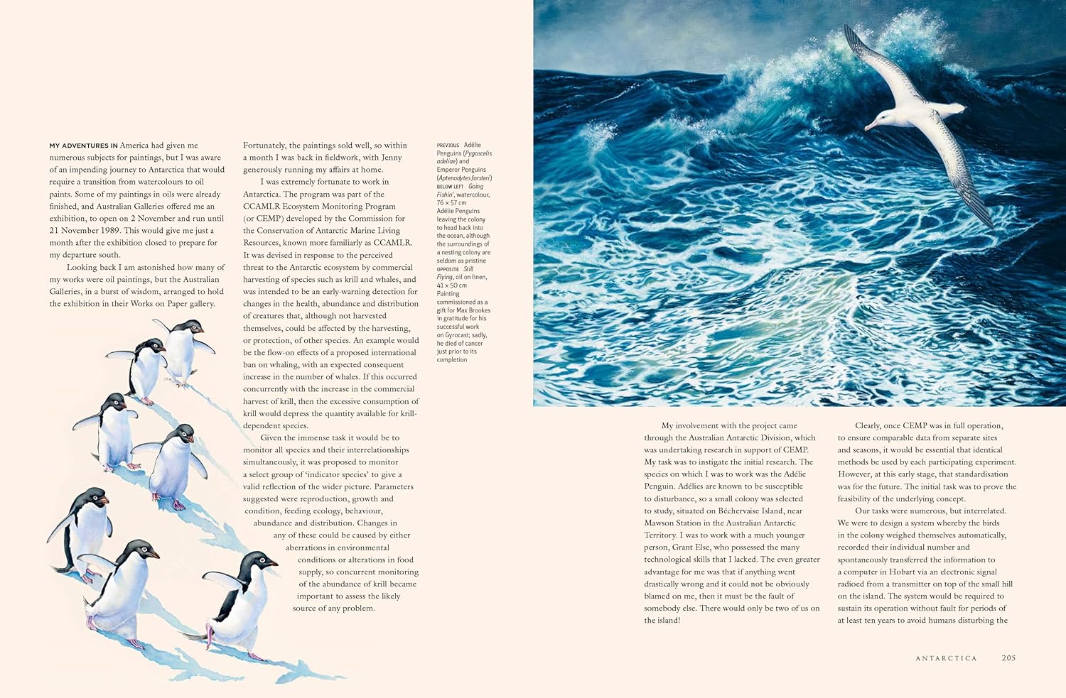 A Brush with Birds: Paintings and Stories from the Wild