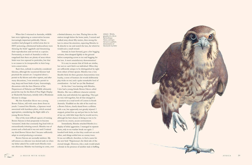 A Brush with Birds: Paintings and Stories from the Wild