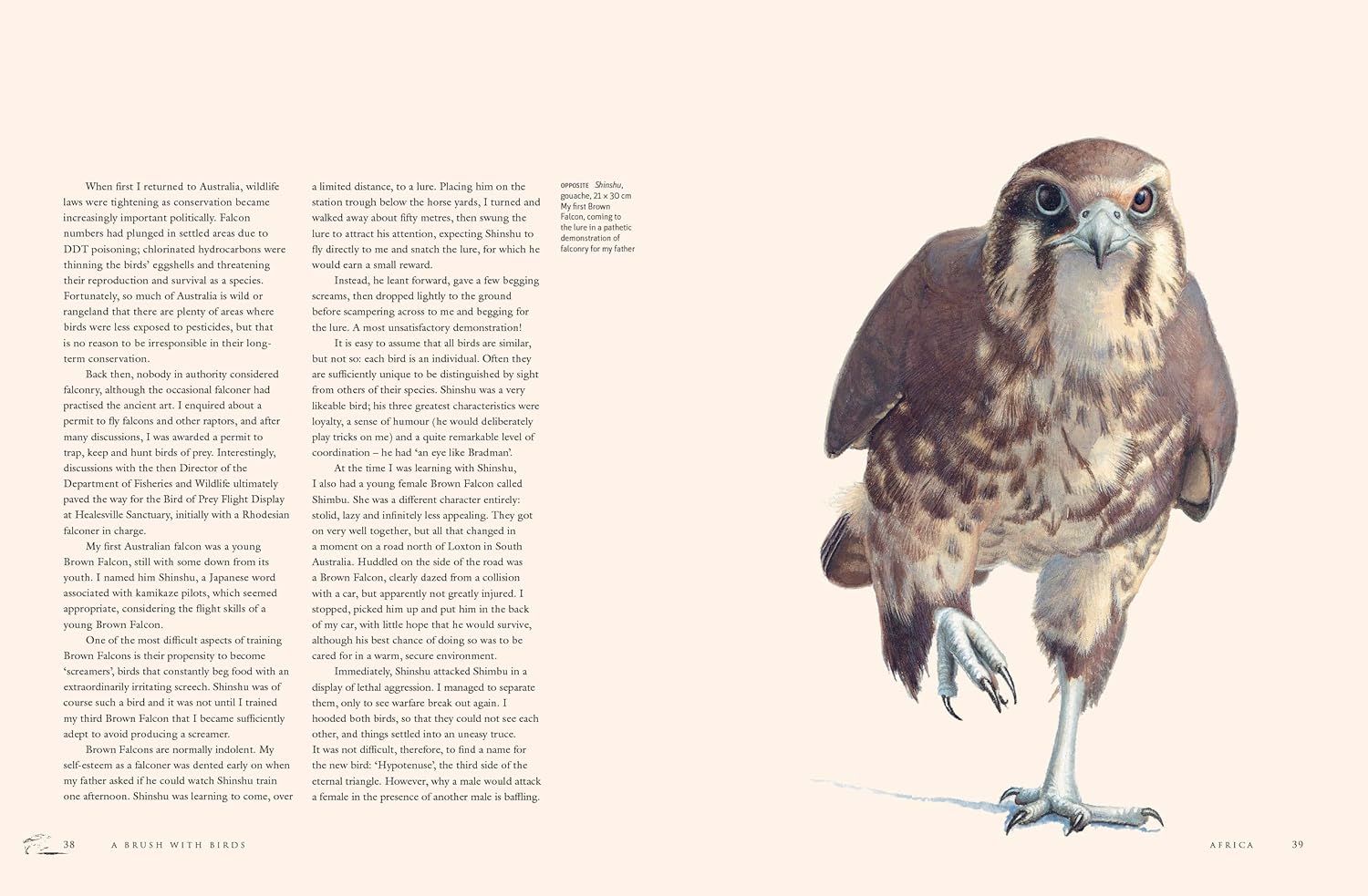 A Brush with Birds: Paintings and Stories from the Wild