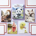 Wild Masterpieces Notecards: 16 Notecards and Envelopes