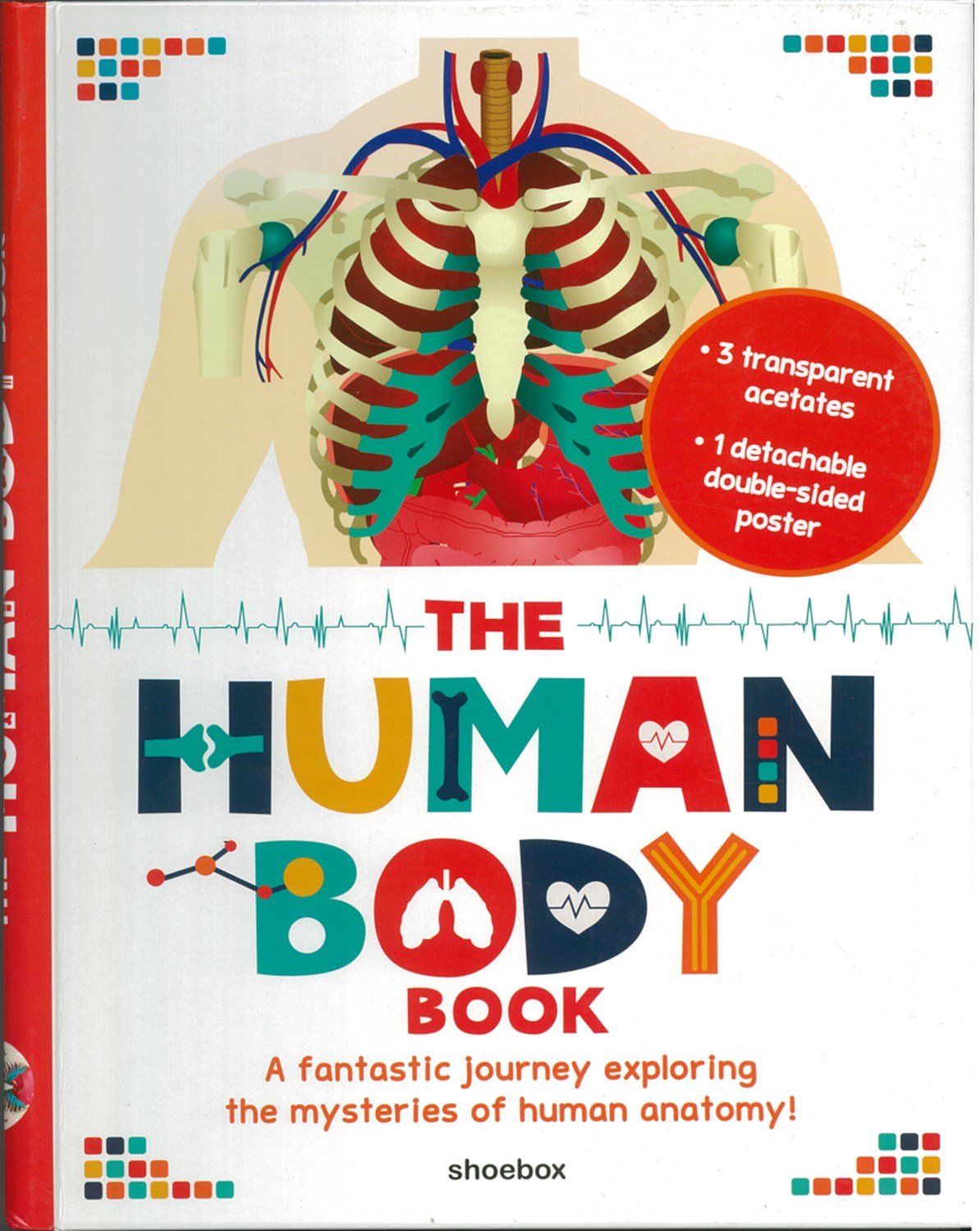 Human Body Book