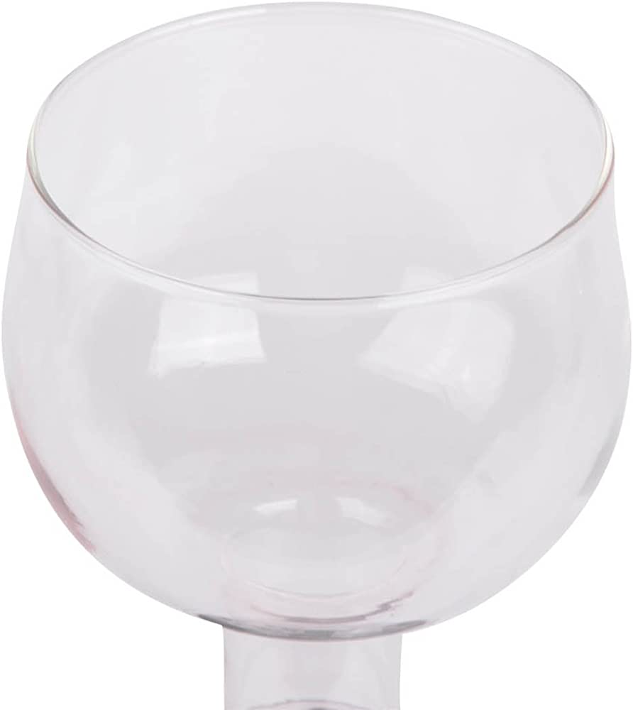 The Wine Bottle Glass