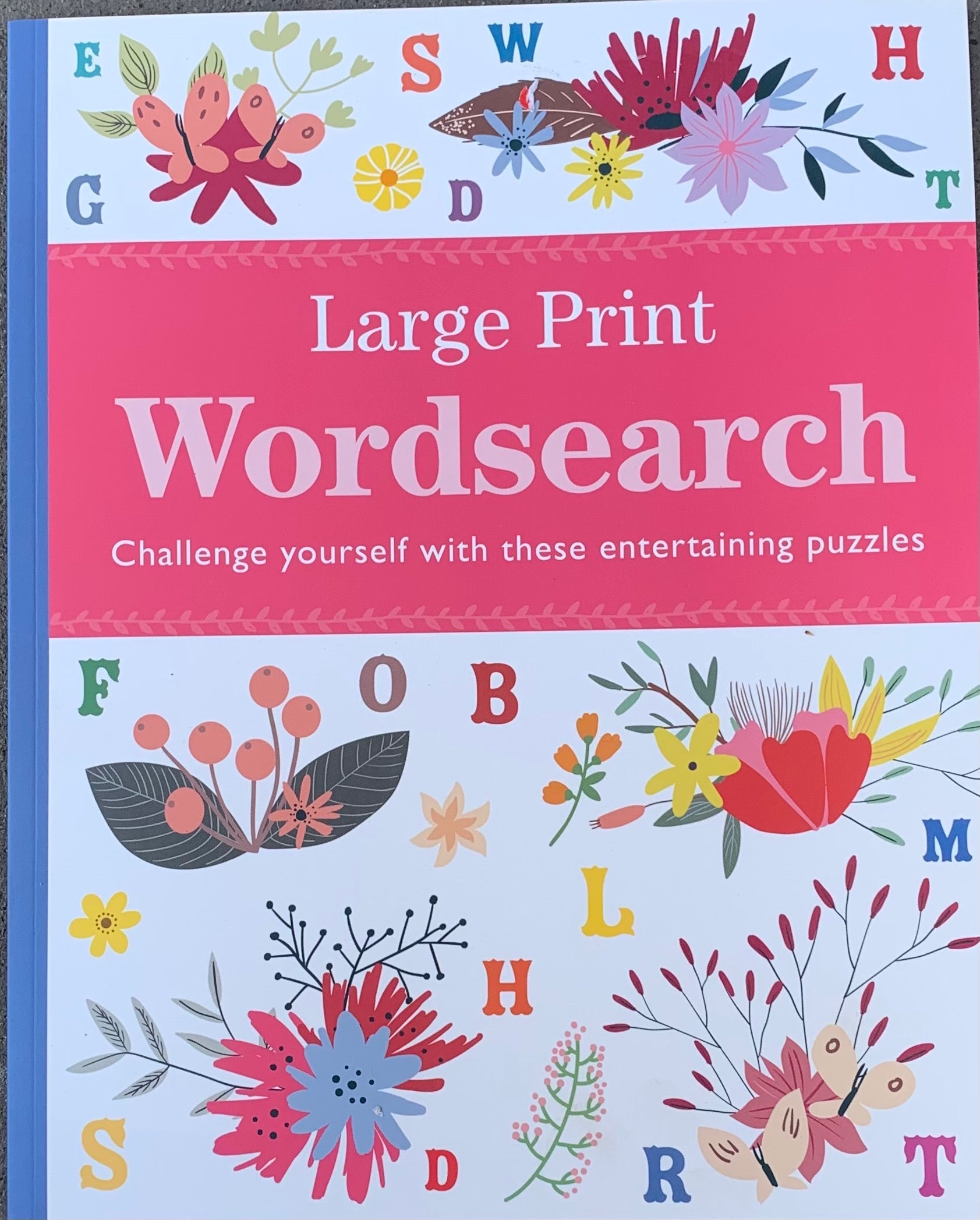 Large print word search book