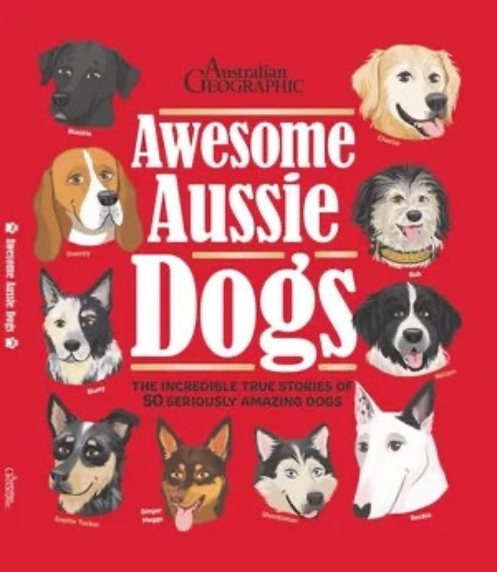Awesome Aussie dogs